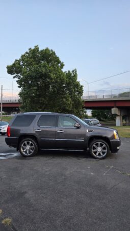 2010 Cadillac Escalade Sport Utility 4D